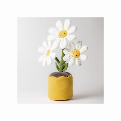 Jellycat Daisy New Zealand | WNYQF7135